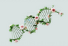 NAD+ and Healthy Aging: What the Cellular Science Explores