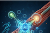NAD+ and Muscle Function: Supporting Energy and Endurance